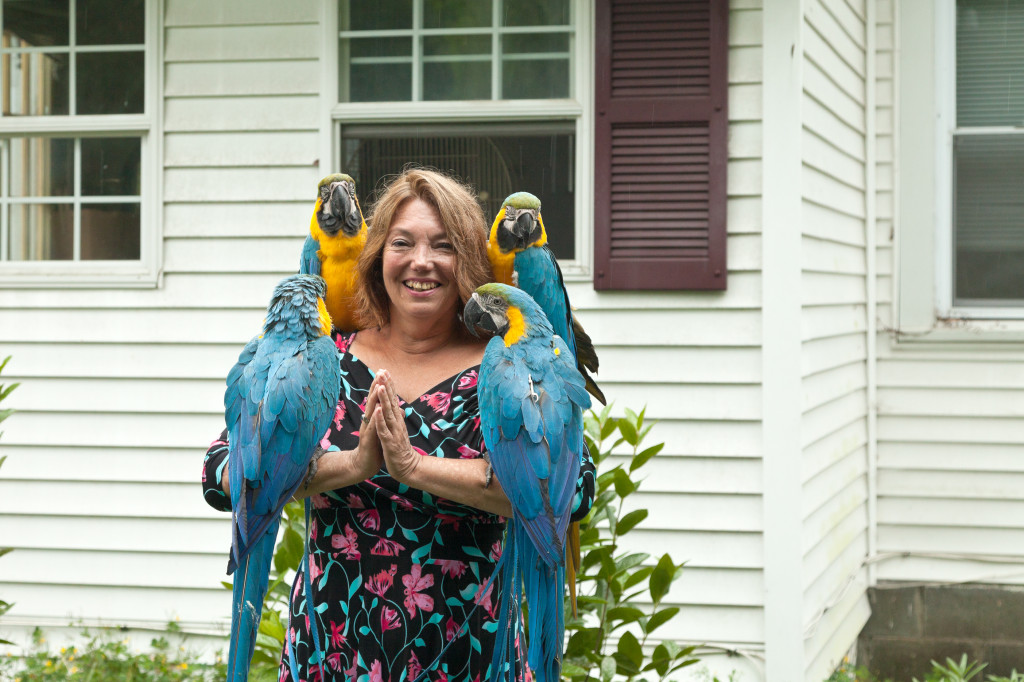 The Parrots for Peace family at our new house